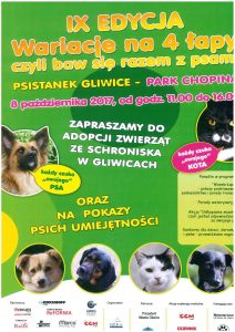 C_Users_Dorota Pniowska_Desktop_plakat